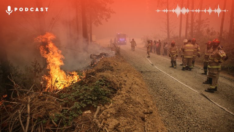 Incendios Forestales Corma Card Web