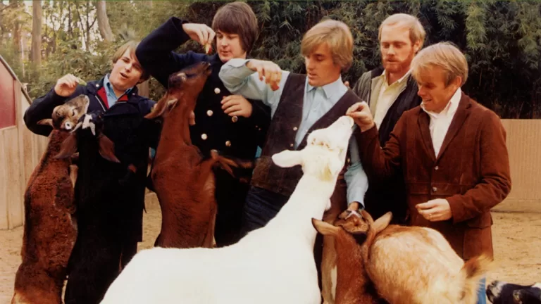 The Beach Boys Pet Sounds Web