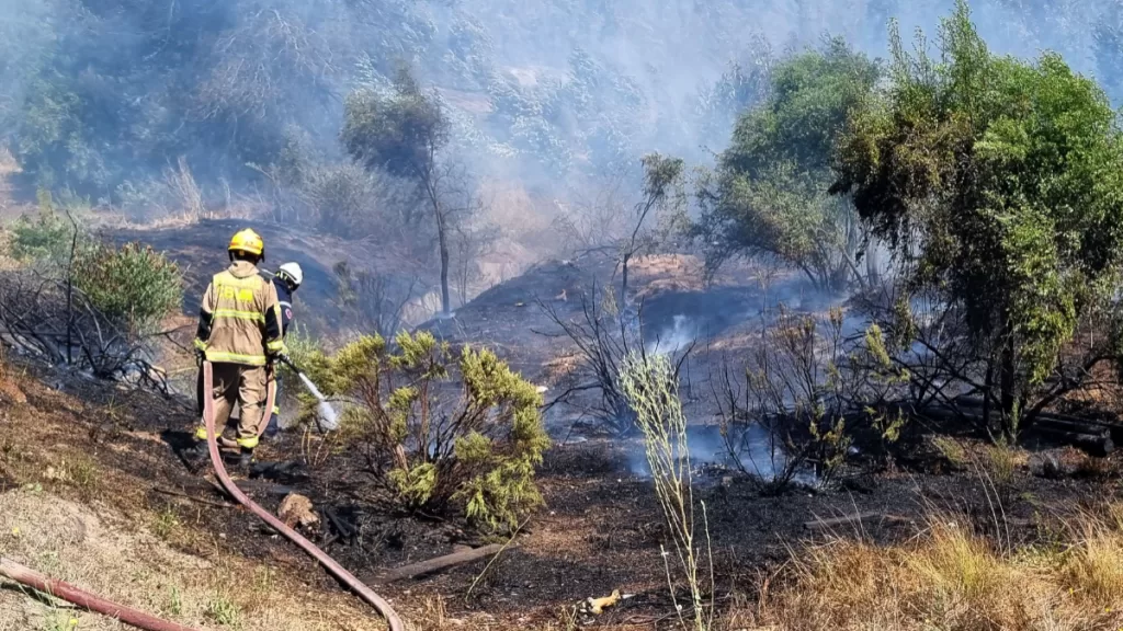 Incendio Forestal Valparaiso