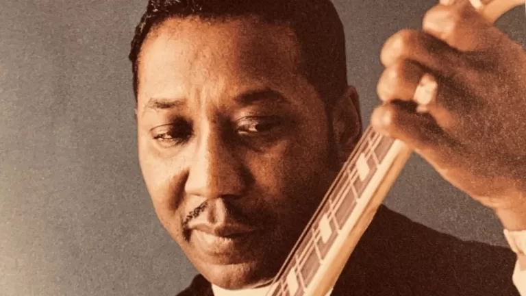 Muddy Waters Retrato Web