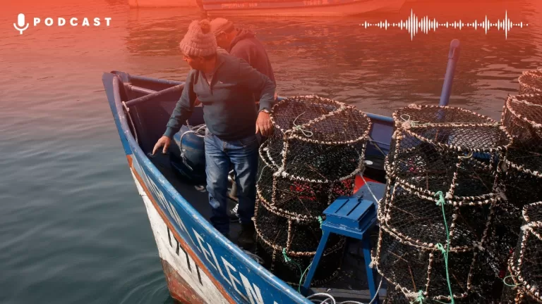 Pescadores Artesanales CONDEPP