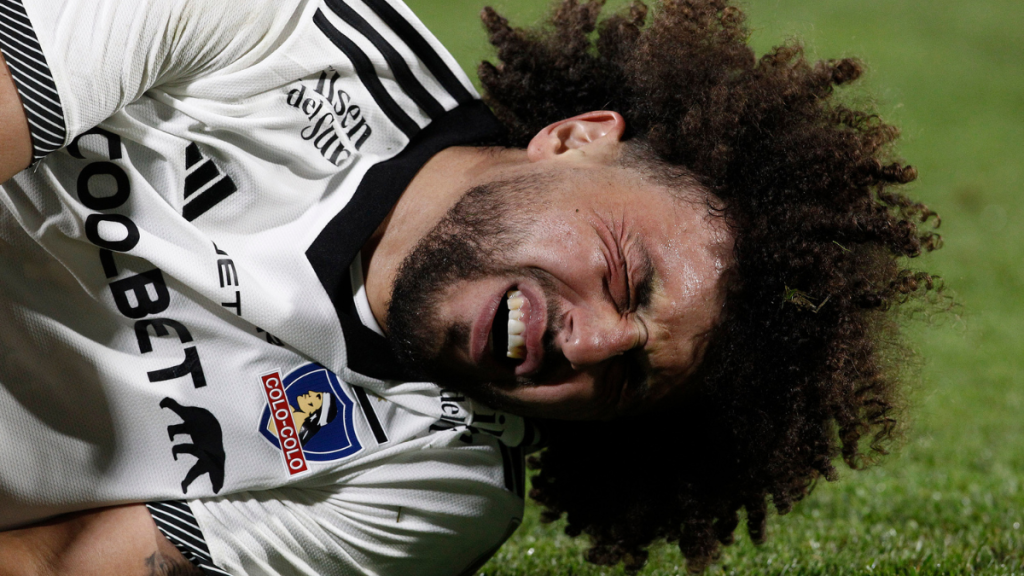 Maximiliano Falcón Lib