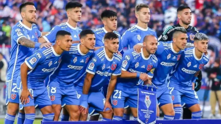 Camiseta nueva