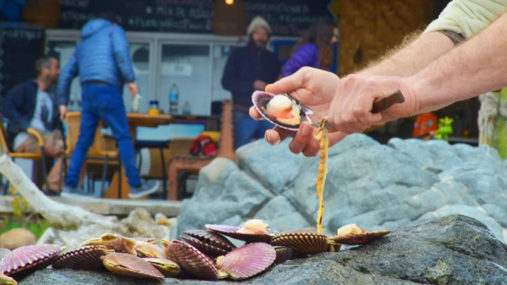 Cocinas Del Pacífico