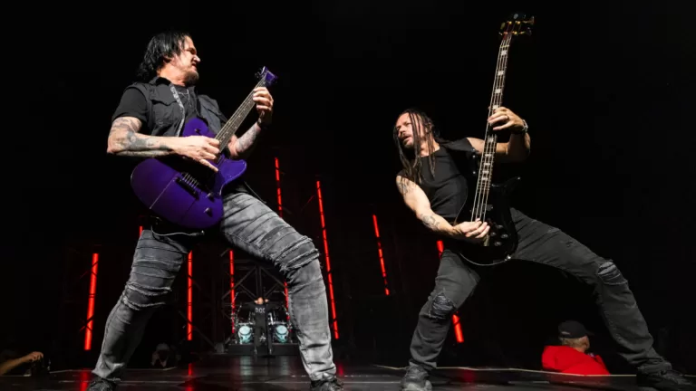 Disturbed
