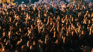 Lolla Palooza