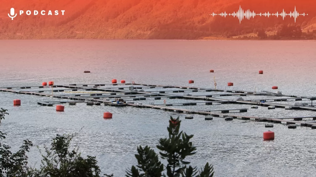 Chile Salmoneras Superintendencia Card Web