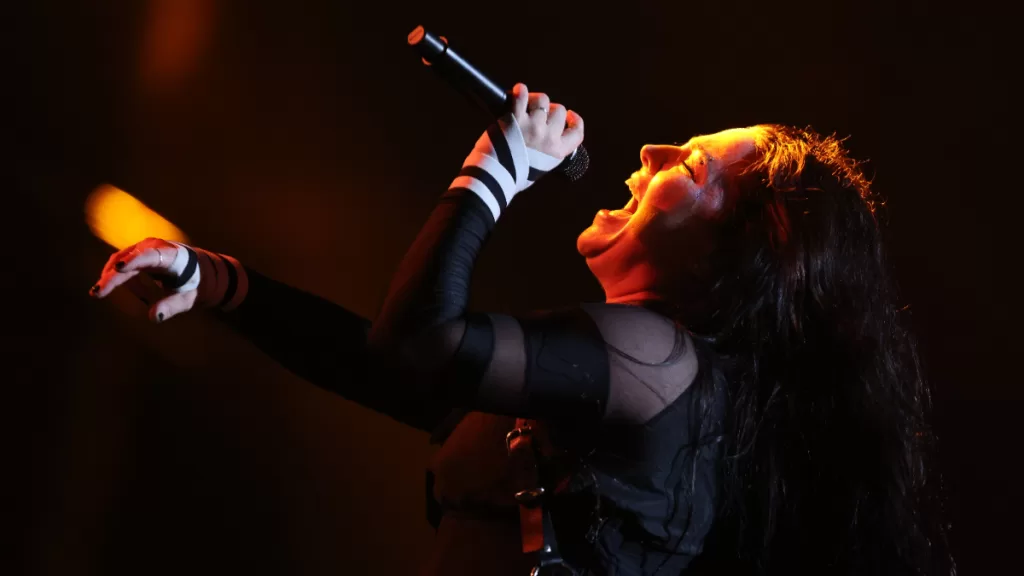 Amy Lee