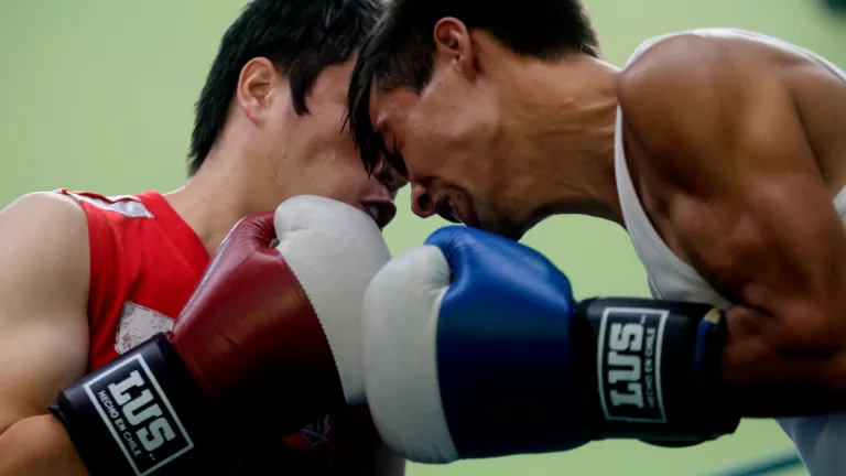 BOXEO WEB
