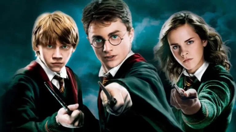 Harry Potter (1)