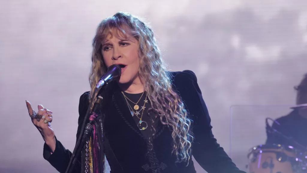 Stevie Nicks
