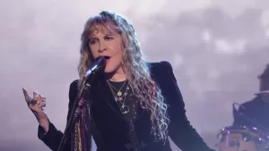 Stevie Nicks