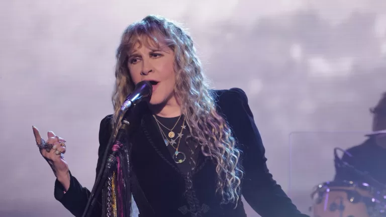 Stevie Nicks