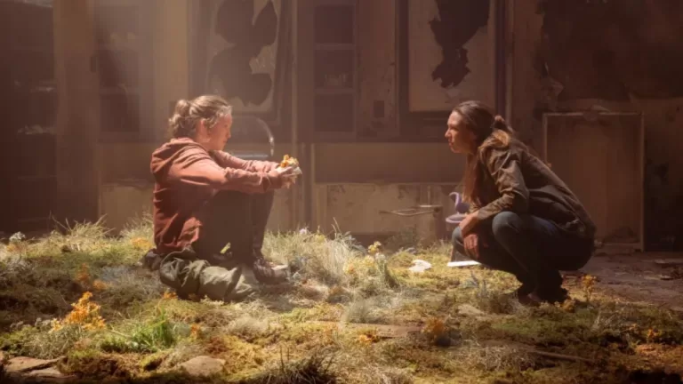 THE LAST OF US 2 WEBB