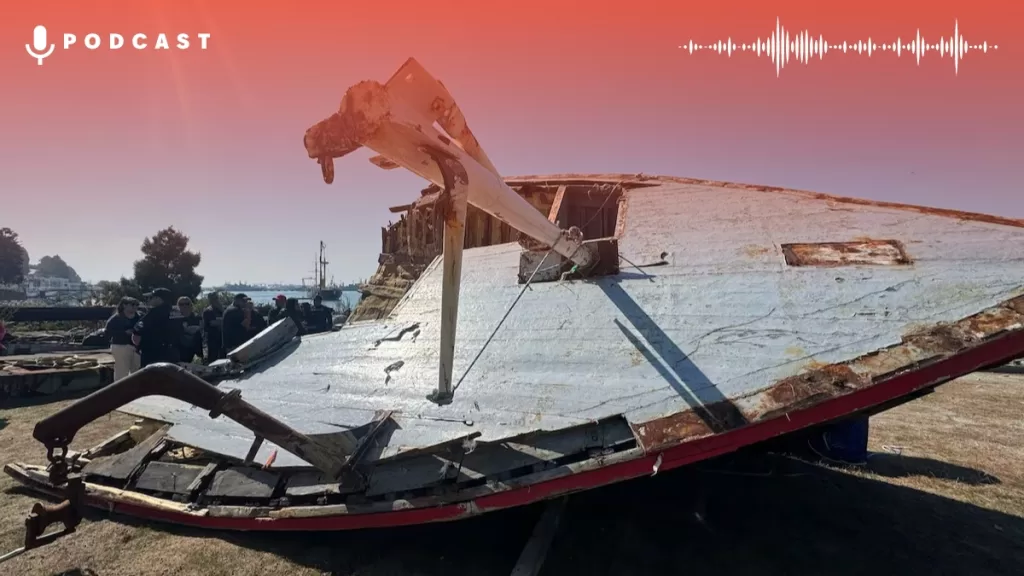 Bruma Cobra Card Web