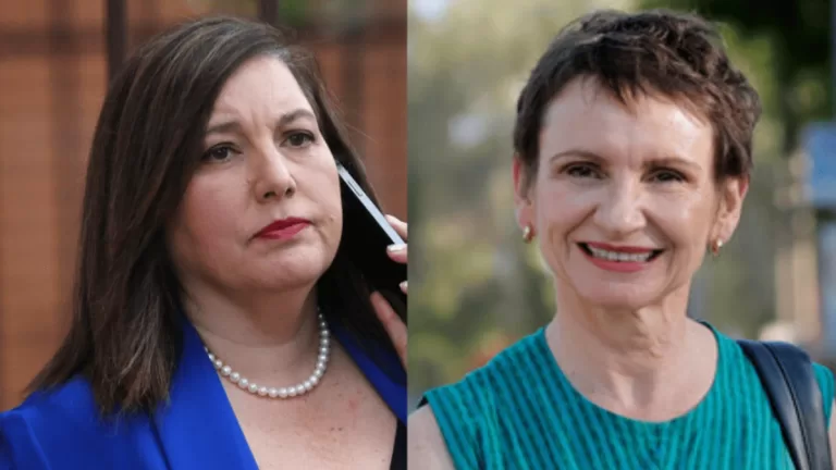 Paulina Vodanovic Carolina Toha candidatura, candidatura