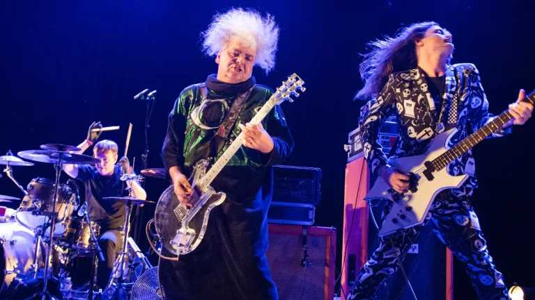 MELVINS WEB