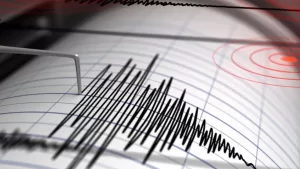 TEMBLOR WEB