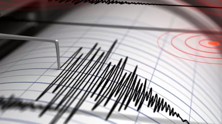 TEMBLOR WEB