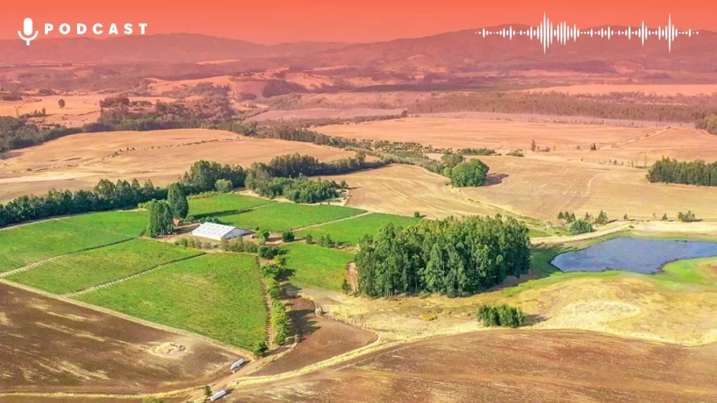 Malleco Tierras Card Web