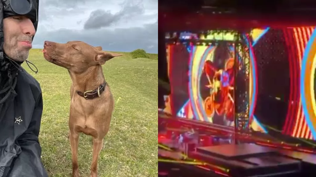 ¿Quien Es La Perrita Que Sale En _Roll With It_ Durante Los Conciertos De Oasis_