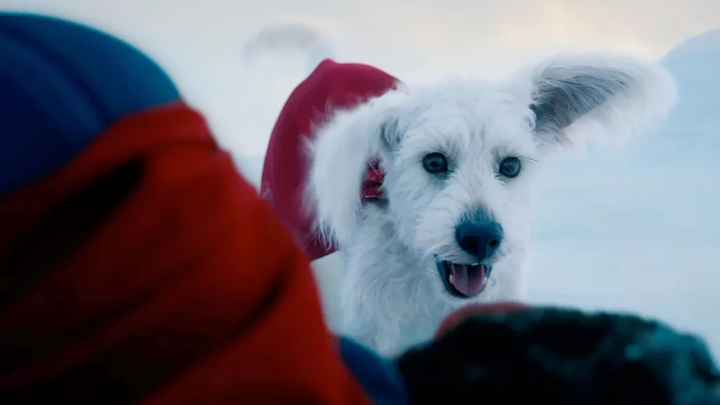 Krypto En Quien Esta Inspirado