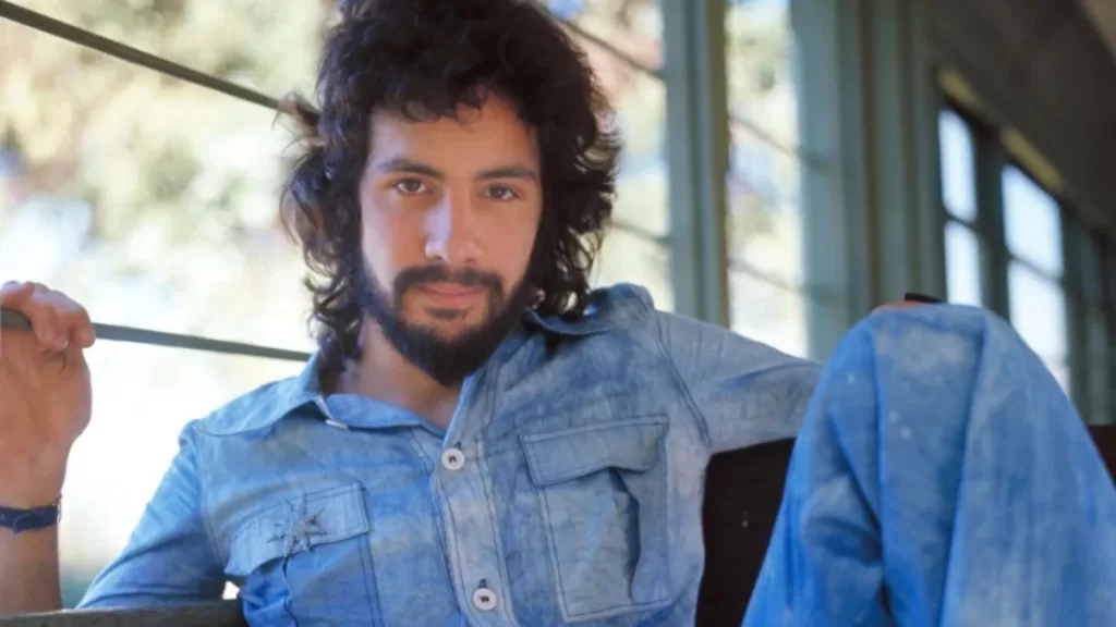 Cat Stevens 1971 Web