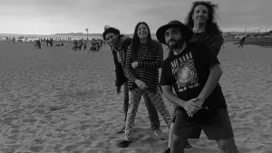 Los Perros Del Ritmo