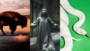 Discos Rock 2025 Web