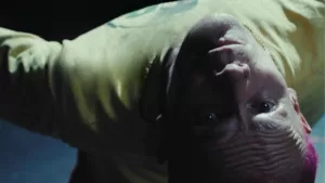 Flea A Plea Portada Web