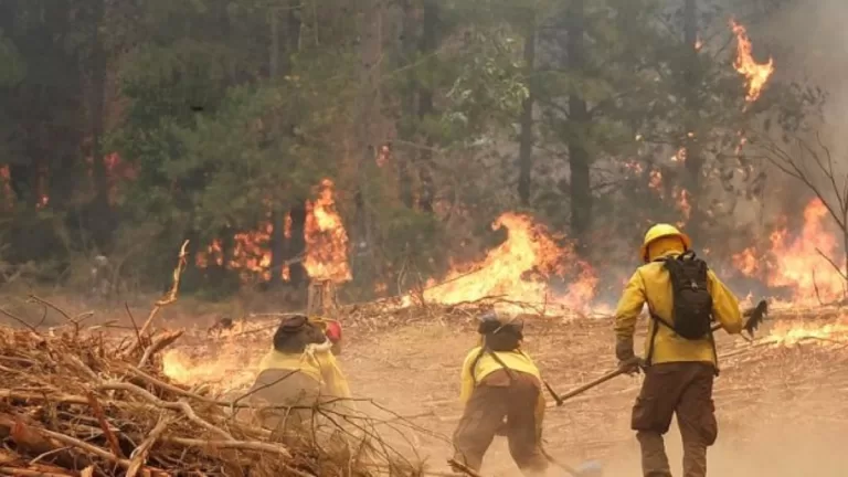 Incendios forestales