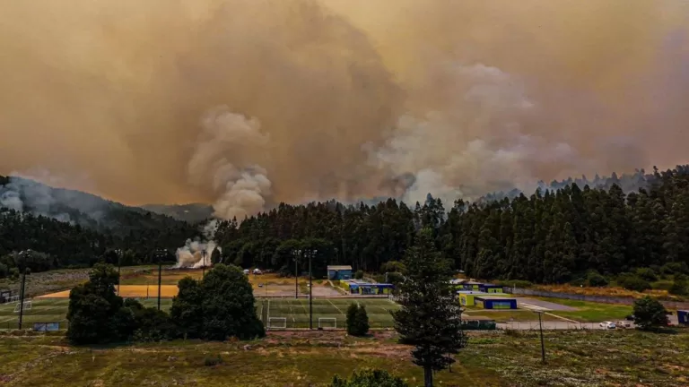 Incendios forestales Chile