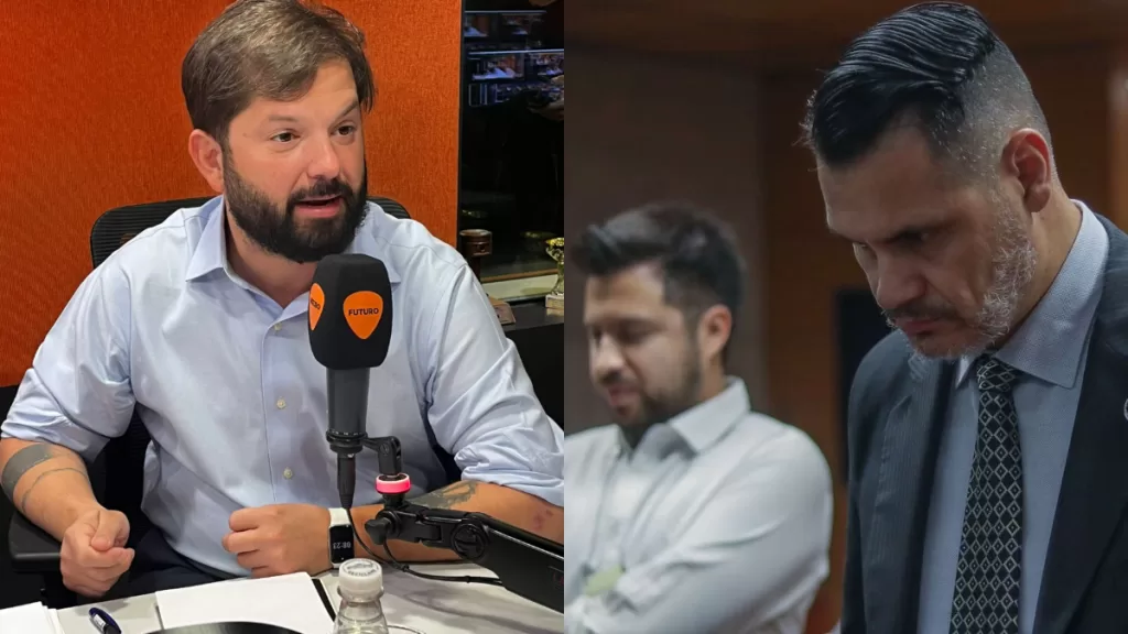 Boric Caso Gatica Web