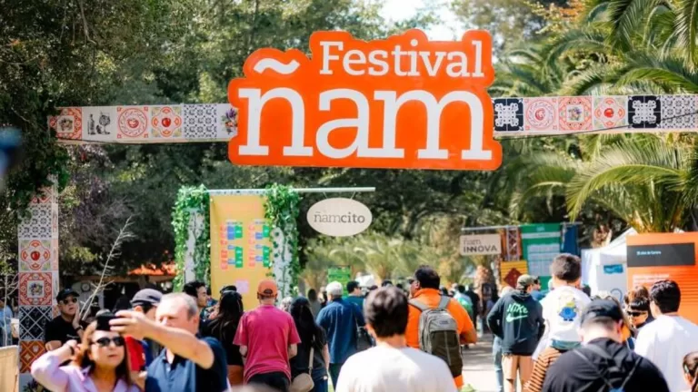 Diseño Sin Título   2026 02 13T174850.477 (1)