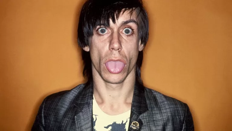 Iggy Pop 1977 Idiot Web