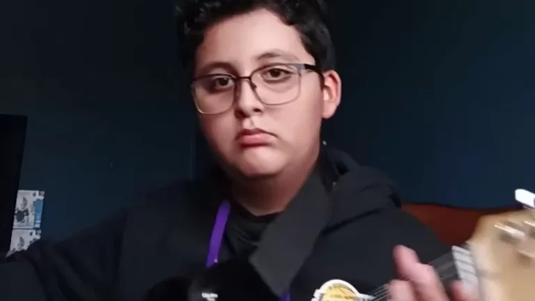 Feli Metallica Viral Web