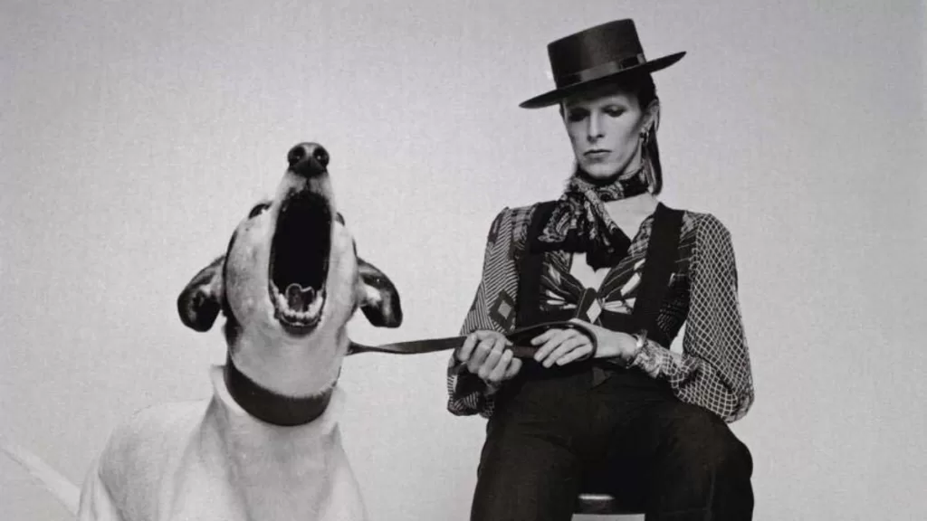 David Bowie Diamond Dogs