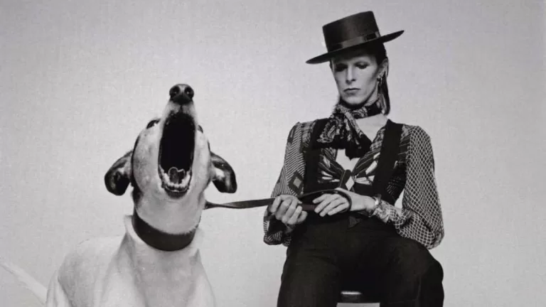 David Bowie Diamond Dogs