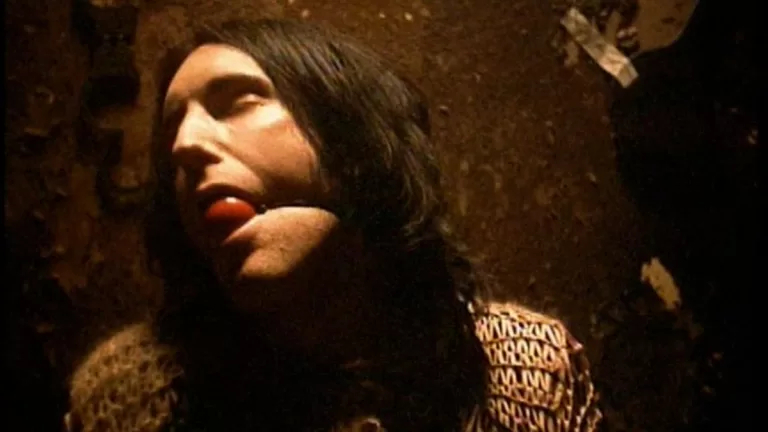 Nine Inch Nails Closer