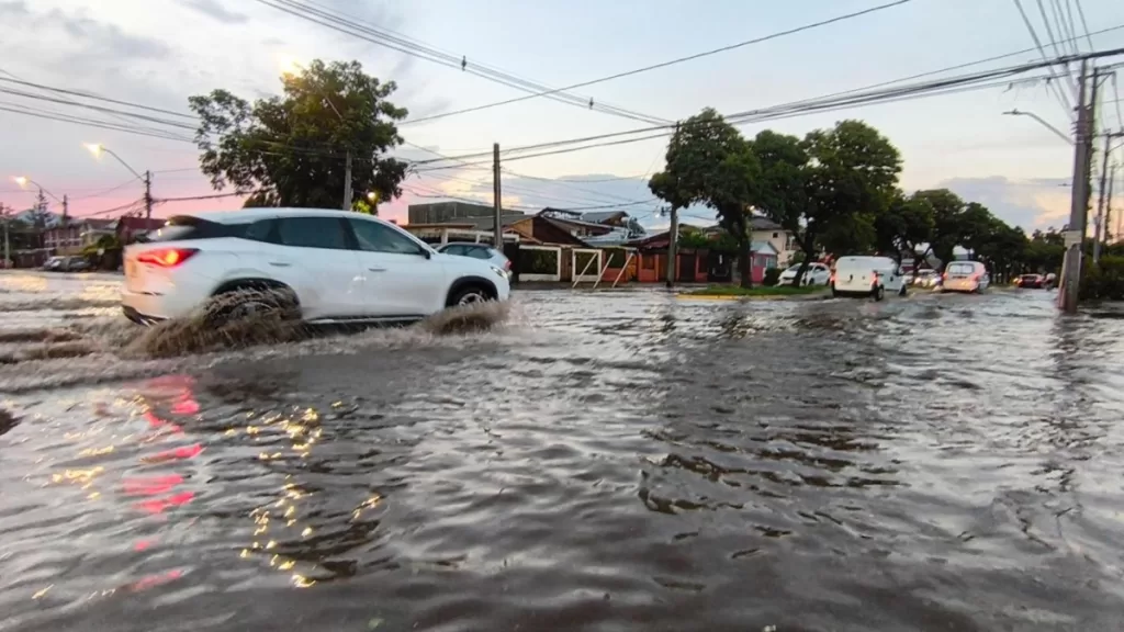 Niño Godzilla Calles Web