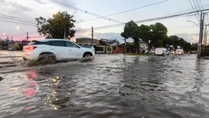 Niño Godzilla Calles Web