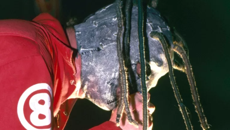 Slipknot