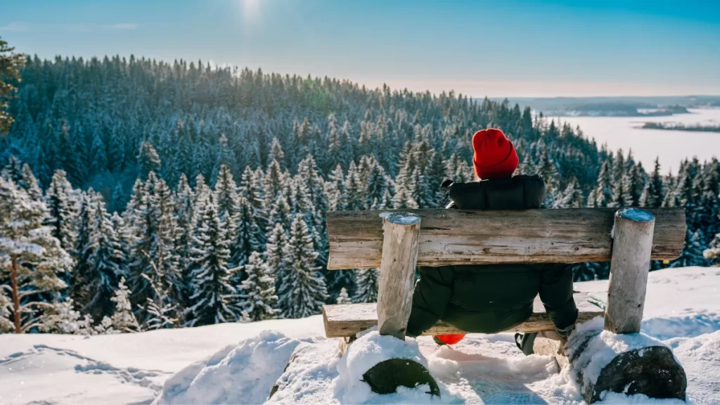 Vacaciones Invierno Salud Mental Web