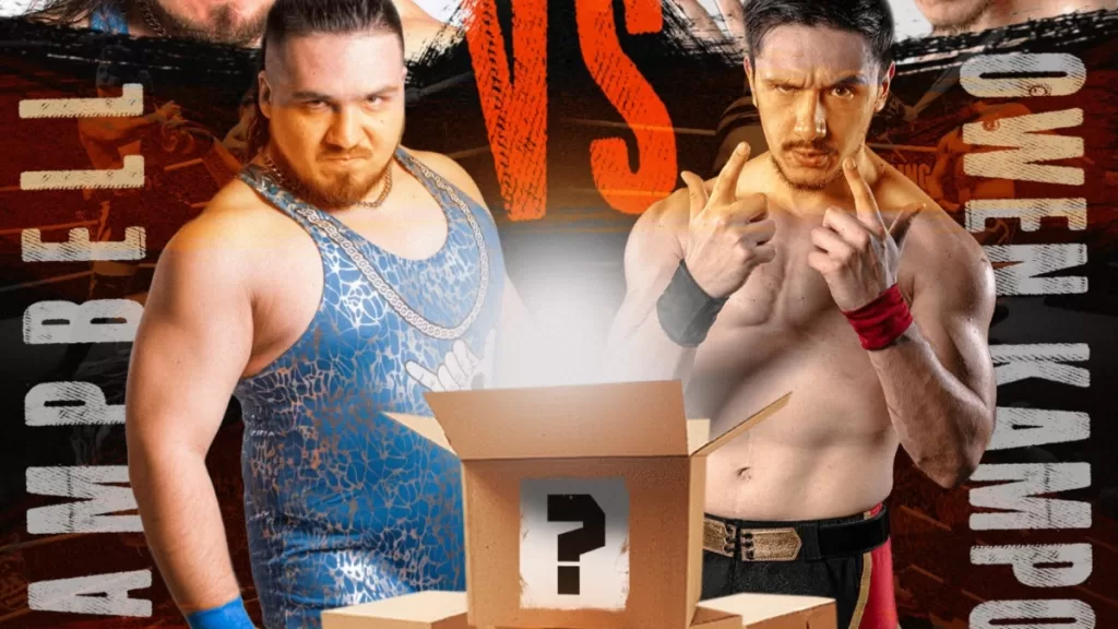 Pro Wrestling Series