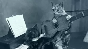 Dia Del Gato