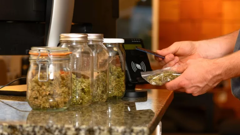 Dispensario Cannabis Getty Web
