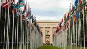 Onu Banderas Web