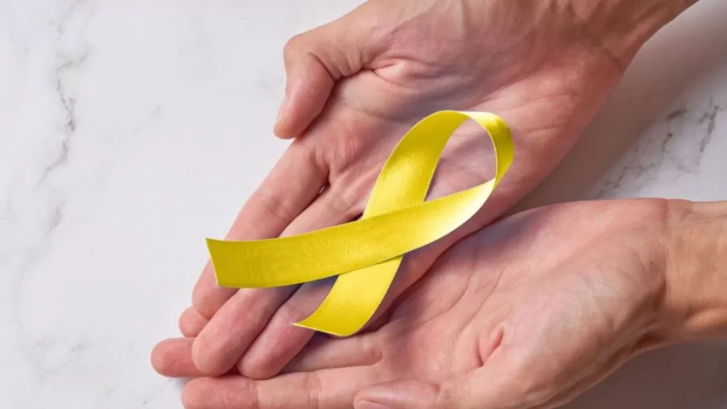 Prevención Suicidio Web