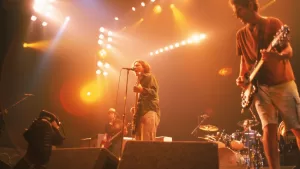 Pearl Jam PJ20
