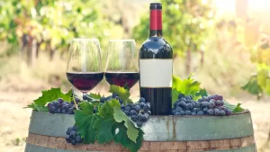 Alvaro Romero Vinos
